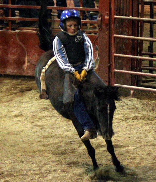 Lil Buckaroo Rodeo. Photo by Pinedale Online.