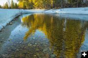 Along Pine Creek. Photo by Dave Bell.