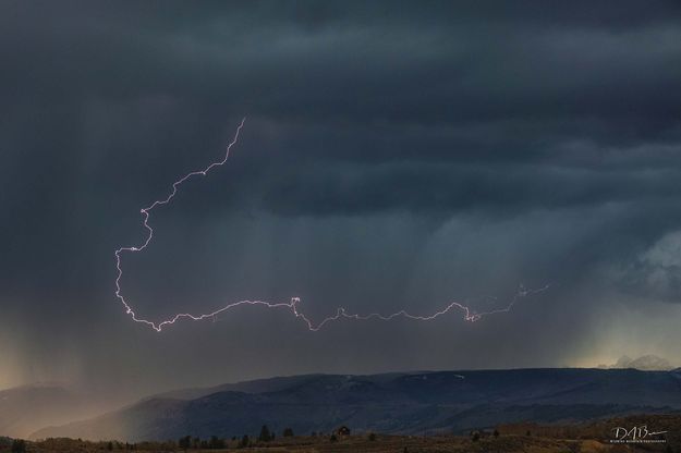 Storm. Photo by Dave Bell.