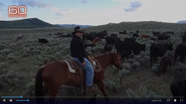 Albert Sommers - Rancher/Cowboy. Photo by 60 Minutes.