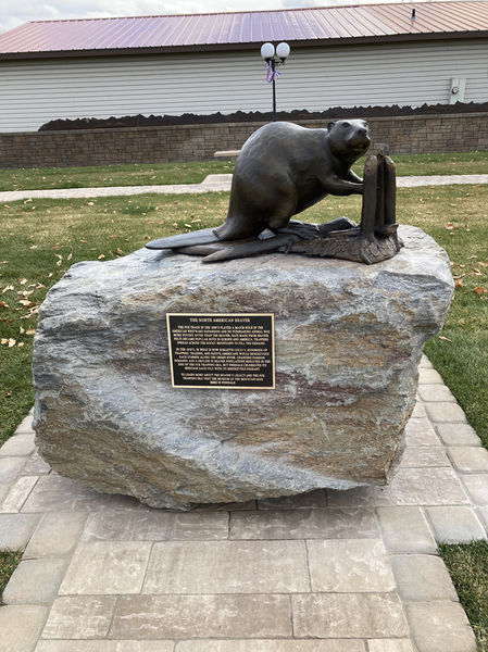 Beaver sculpture. Photo by Dawn Ballou, Pinedale Online.