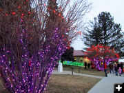 Courthouse lawn. Photo by Dawn Ballou, Pinedale Online.