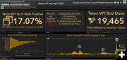 Teton County January 2022. Photo by Teton County Public Health.