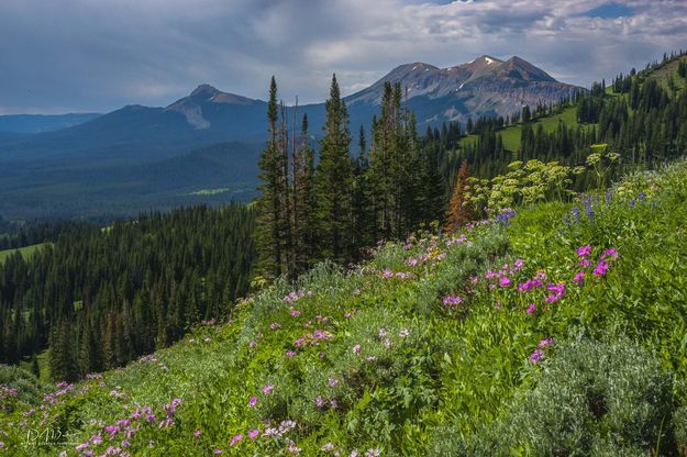 Triple and Lander Peaks. Photo by Dave Bell.