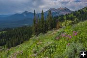 Triple and Lander Peaks. Photo by Dave Bell.