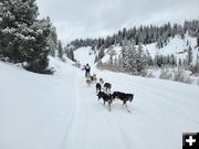 Jackson race Jan 28 2023. Photo by Pedigree Stage Stop Sled Dog Race.