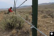 Wildlife friendly fence. Photo by Mark Gocke, Wyoming Game & Fish.