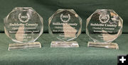 Awards. Photo by Dawn Ballou, Pinedale Online.