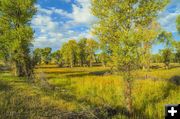 Fall Beauty. Photo by Dave Bell.