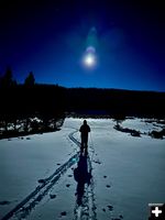 Skiing by Moonlight. Photo by Rob Tolley.