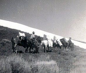Hauling up building materials, 1941. Photo by Diane Roberts Boroff.