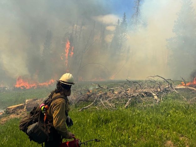 Horse Fire. Photo by Bridger-Teton National Forest.