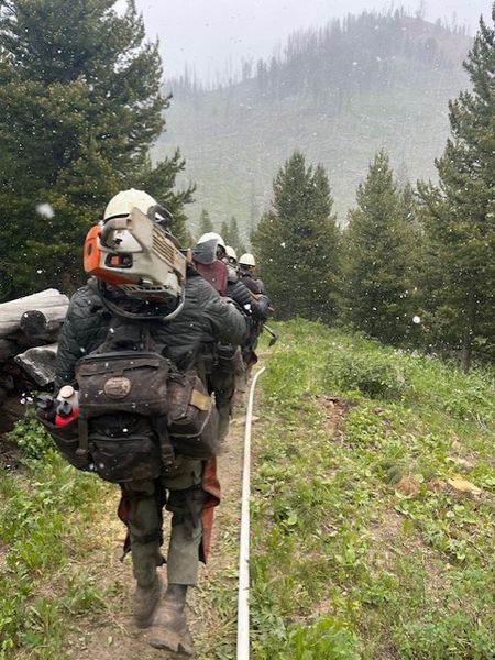 Snowing. Photo by Bridger-Teton National Forest.