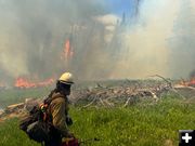 Horse Fire. Photo by Bridger-Teton National Forest.