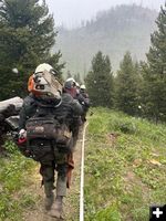 Snowing. Photo by Bridger-Teton National Forest.