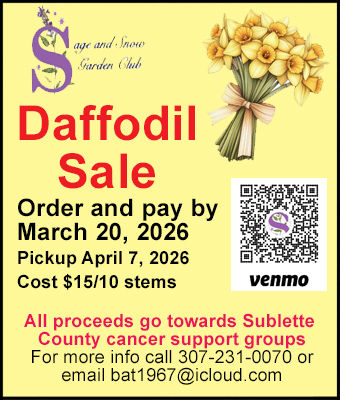 Daffodil Sale. Photo by .