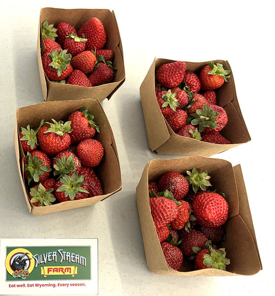 Silver Stream Farm strawberries. Photo by Dawn Ballou, Pinedale Online.