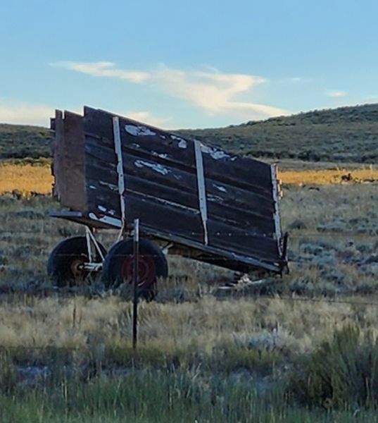 Stolen cattle loading chute. Photo by .