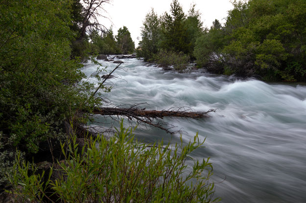 Pine Creek Rippin. Photo by Arnie Brokling.