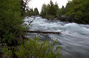 Pine Creek Rippin. Photo by Arnie Brokling.