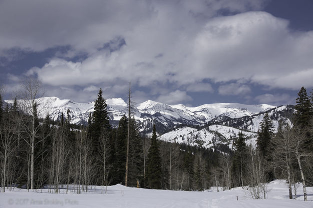 Looking West. Photo by Arnie Brokling.