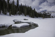 Sandy Marshall Creek. Photo by Arnie Brokling.