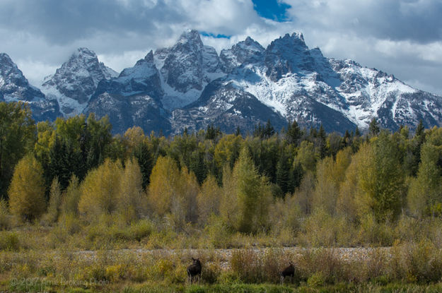 Enjoying the View. Photo by Arnie Brokling.