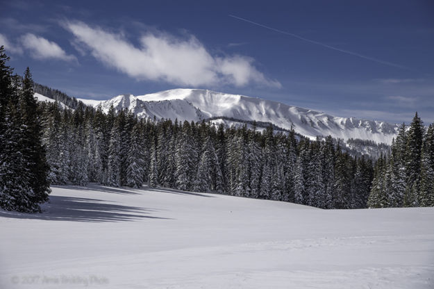 Head of Grizzly Creek. Photo by Arnie Brokling.