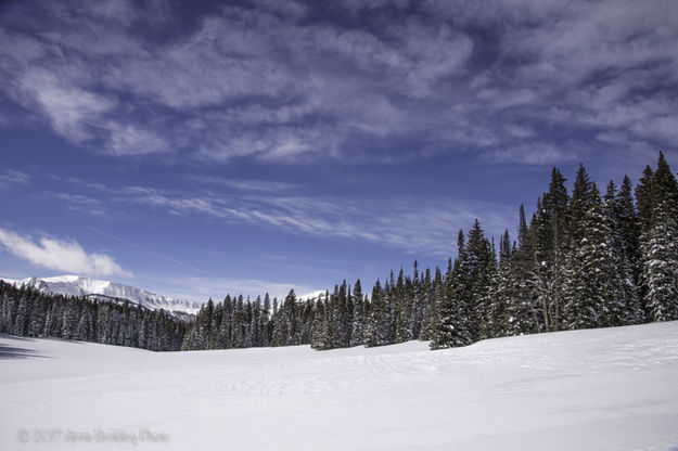 Head of Grizzly Creek. Photo by Arnie Brokling.