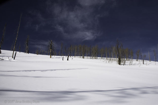 Untracked Snow. Photo by Arnie Brokling.