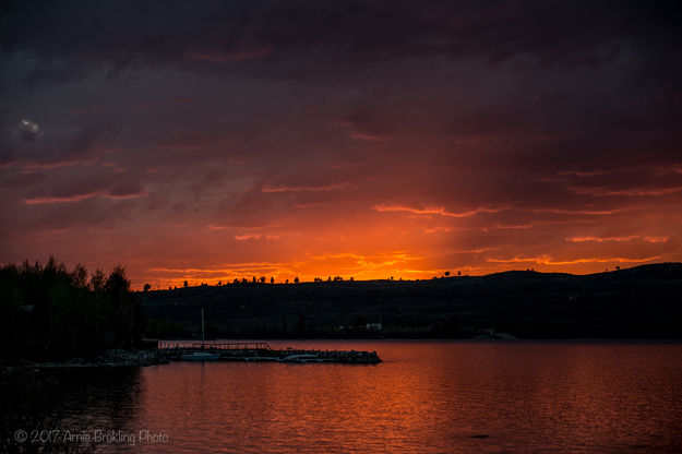 Sailors Delight. Photo by Arnie Brokling.