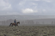 Rider on the Storm. Photo by Arnie Brokling.