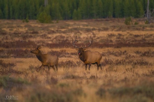 One Track Mind. Photo by Dave Bell.