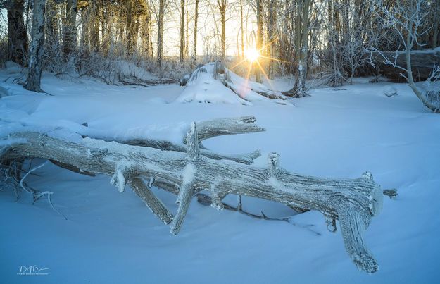 . Photo by Dave Bell.