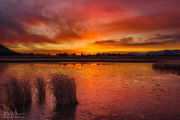 A Magnificent Sunrise At Swan Lake. Photo by Dave Bell.