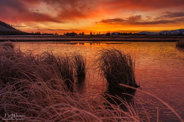 Fall Grasses. Photo by Dave Bell.