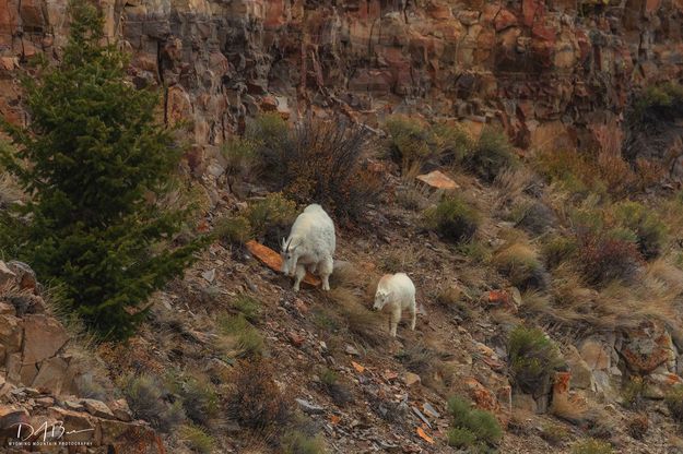 Mom And Kid. Photo by Dave Bell.