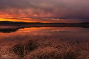 Fabulous Sky. Photo by Dave Bell.