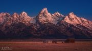 Teton Glory. Photo by Dave Bell.