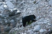 Amongst The Rocks. Photo by Dave Bell.