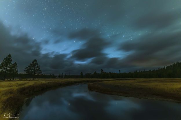 Gibbon River Stars. Photo by Dave Bell.