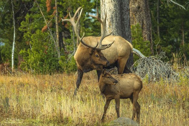 All In The Family. Photo by Dave Bell.