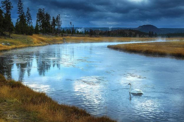 Firehole Silver. Photo by Dave Bell.