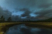 Gibbon River Stars. Photo by Dave Bell.