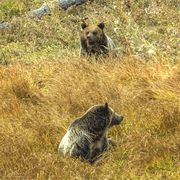 What's Up!. Photo by Dave Bell.