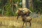 All In The Family. Photo by Dave Bell.