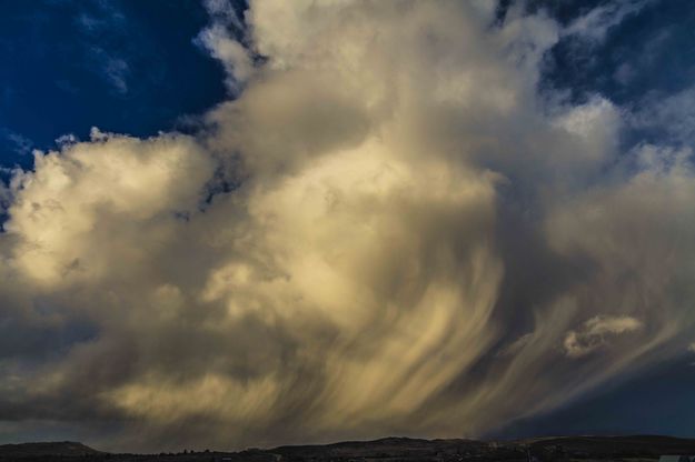 Spring Snow Squall. Photo by Dave Bell.