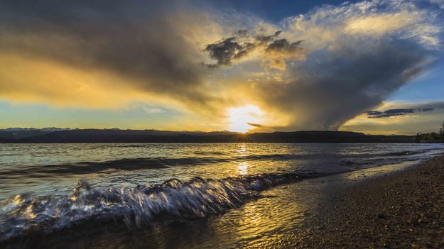 Splash. Photo by Dave Bell.