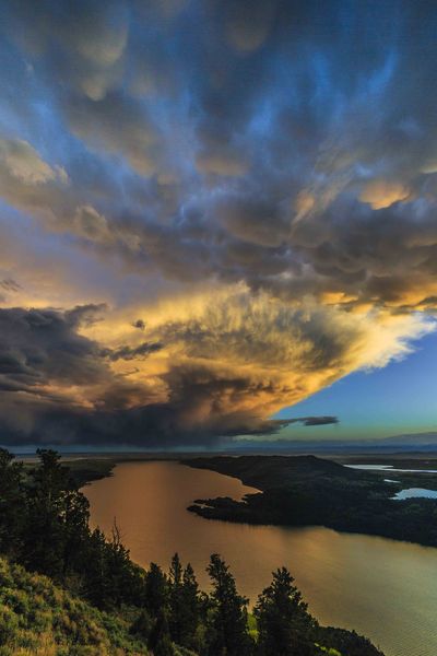 Storm Warning. Photo by Dave Bell.