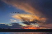 Busy Morning Sky. Photo by Dave Bell.